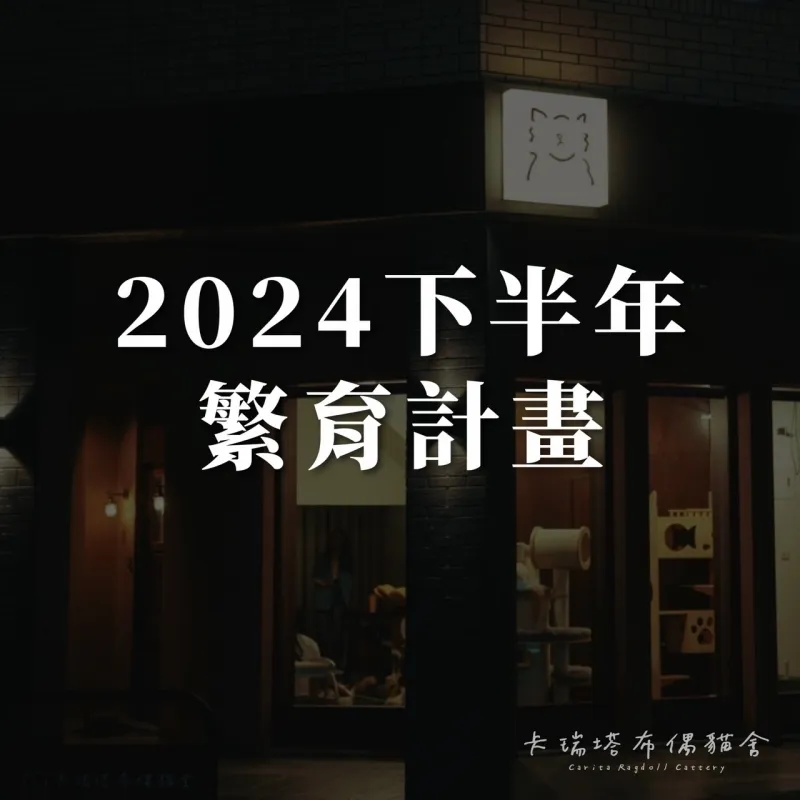 卡瑞塔布偶貓舍2024下半年繁育計畫