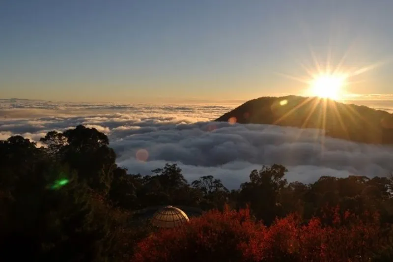 大雪山森林遊樂區 | 谷關民宿,谷關民宿推薦