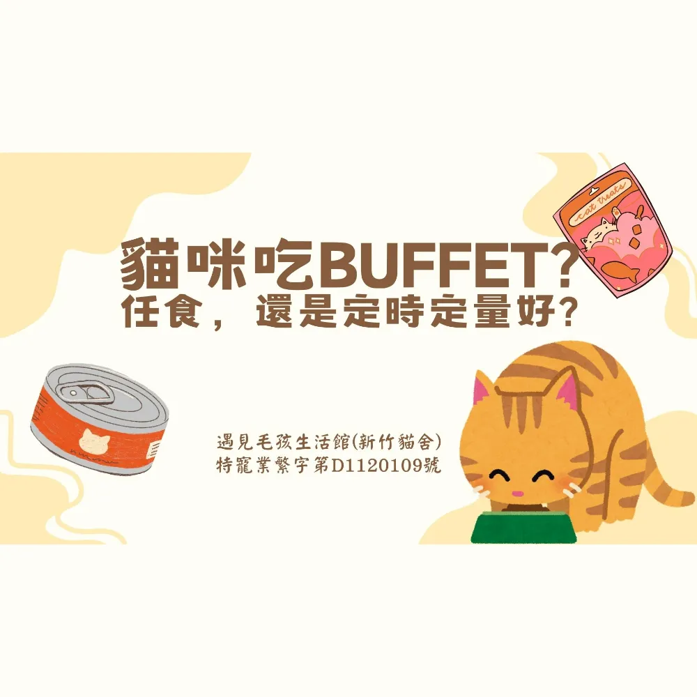 貓咪吃BUFFET任食，還是定時定量好?