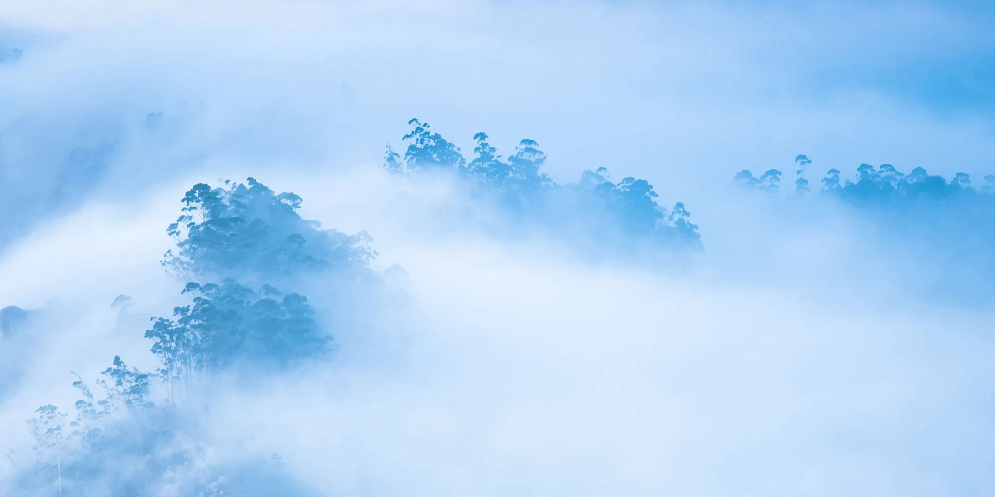 臺北慈雲堂(全真道)-問事,台北問事,內湖區問事,台北看風水