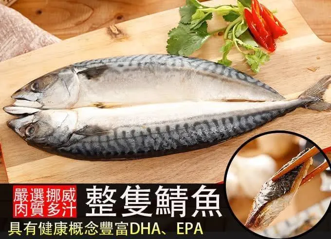 鯖魚一夜干