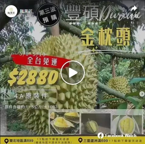 豐碩頂級金枕頭榴槤 | 水果宅配 | 三重水果店